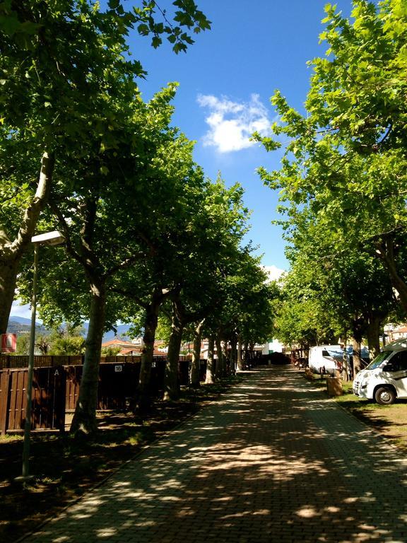 Camping Vallecrosia Ngoại thất bức ảnh